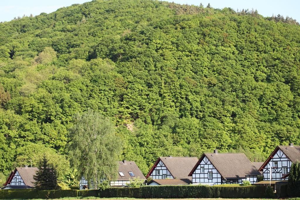 Ferienwohnung Bos En Kasteel Nideggen Exterior foto